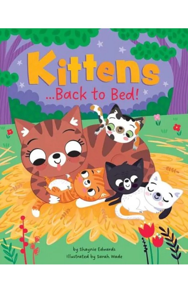 Picture Books  Go Back To Bed Kittens